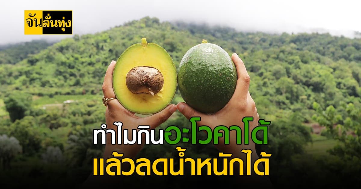 ทำไมกินอะโวคาโด้ แล้วลดน้ำหนักได้ แถมมีคุณประโยชน์