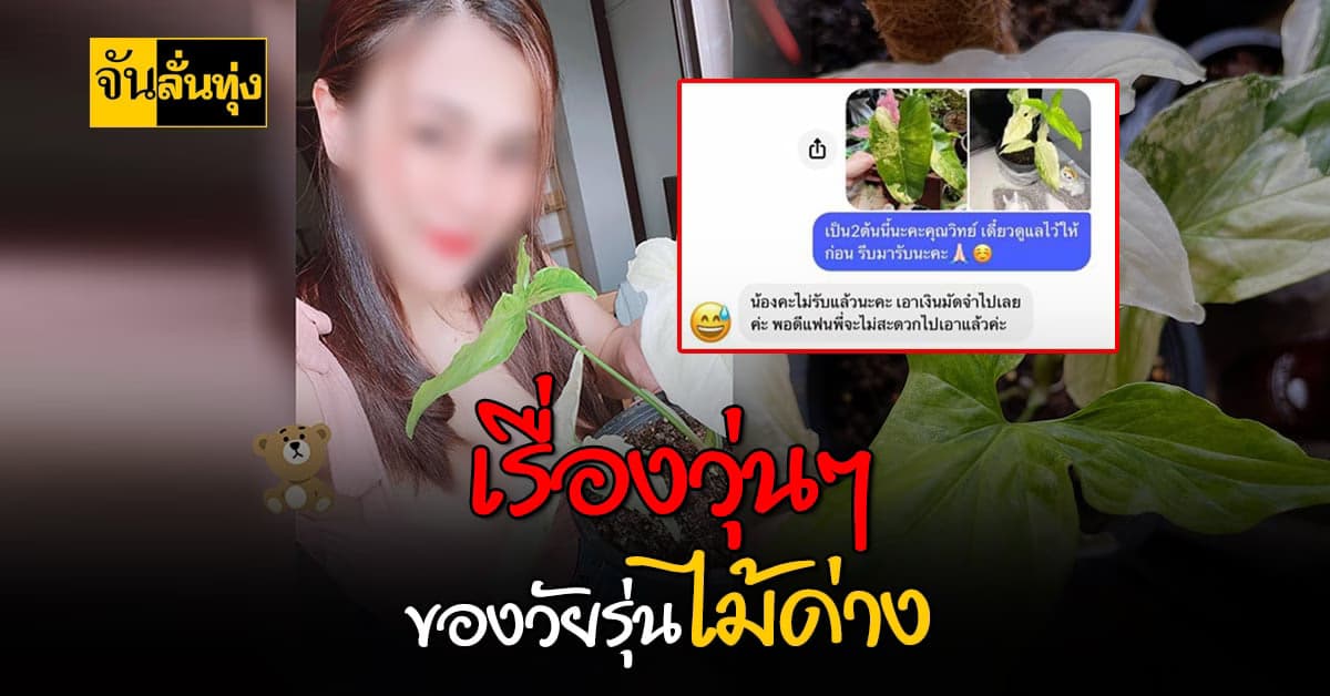 สาวขายไม้ด่าง โพสต์ตามหาลูกค้าหนุ่ม หลังหายไปไม่เอามัดจำคืน