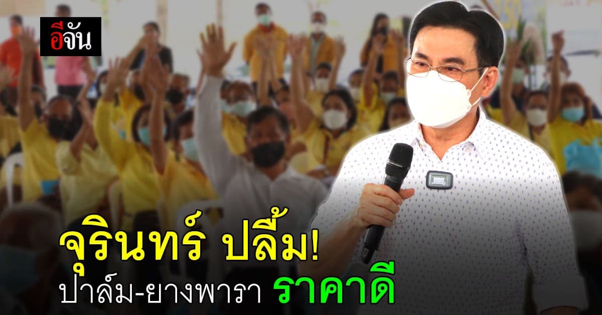 จุรินทร์ เดินหน้า ประกันรายได้ ปี 3 – ปาล์ม ราคาสูงสุดในรอบ 10 ปี