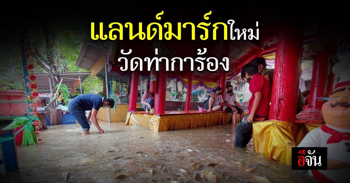 ให้อาหารปลาถึงปาก! แลนด์มาร์กใหม่ วัดท่าการ้อง