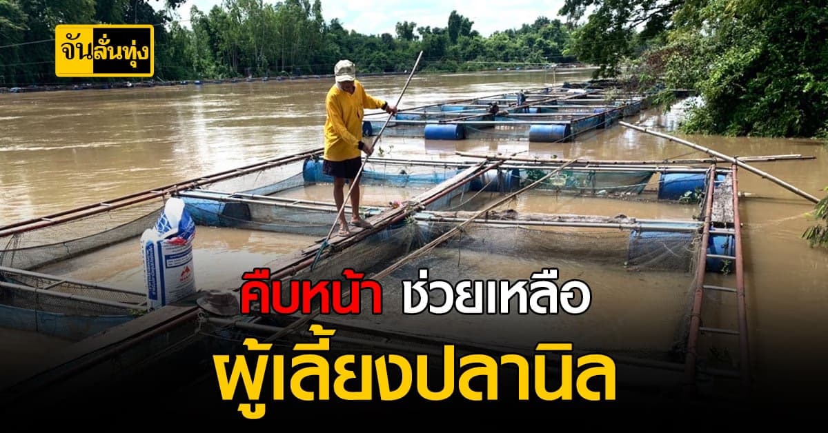 กรมประมง เผย คืบหน้าช่วยเหลือเกษตรกร ผู้เลี้ยงปลานิล เหตุ น้ำท่วม