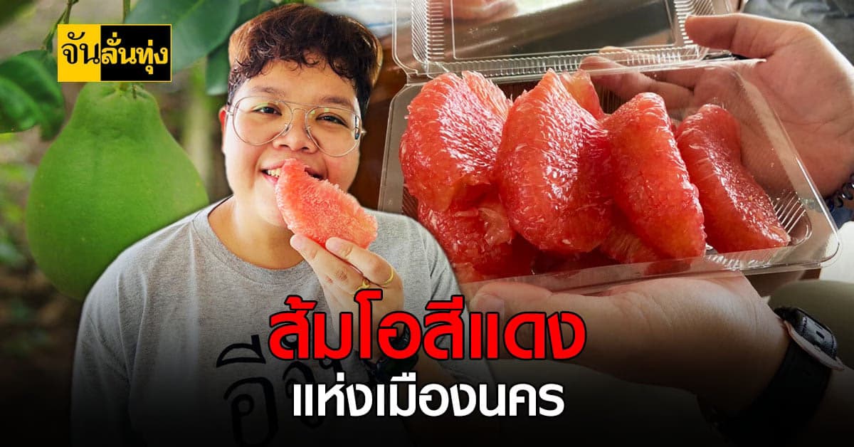 ส้มโอสีแดง ไม่มีที่ไหนเหมือน ทับทิมสยามแห่งเมืองนคร