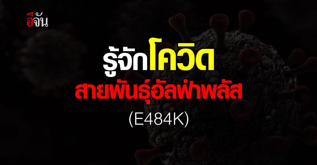 โควิดกลายพันธุ์ อัลฟ่าพลัส (E484K) เจอในไทยแต่ระบาดน้อย