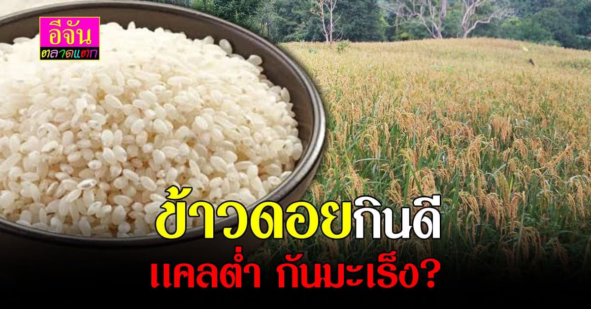 ส่องประโยชน์ ข้าวเจ้าลีซอ ข้าวไม่ขัดสี ถึงมีเเต่ประโยชน์