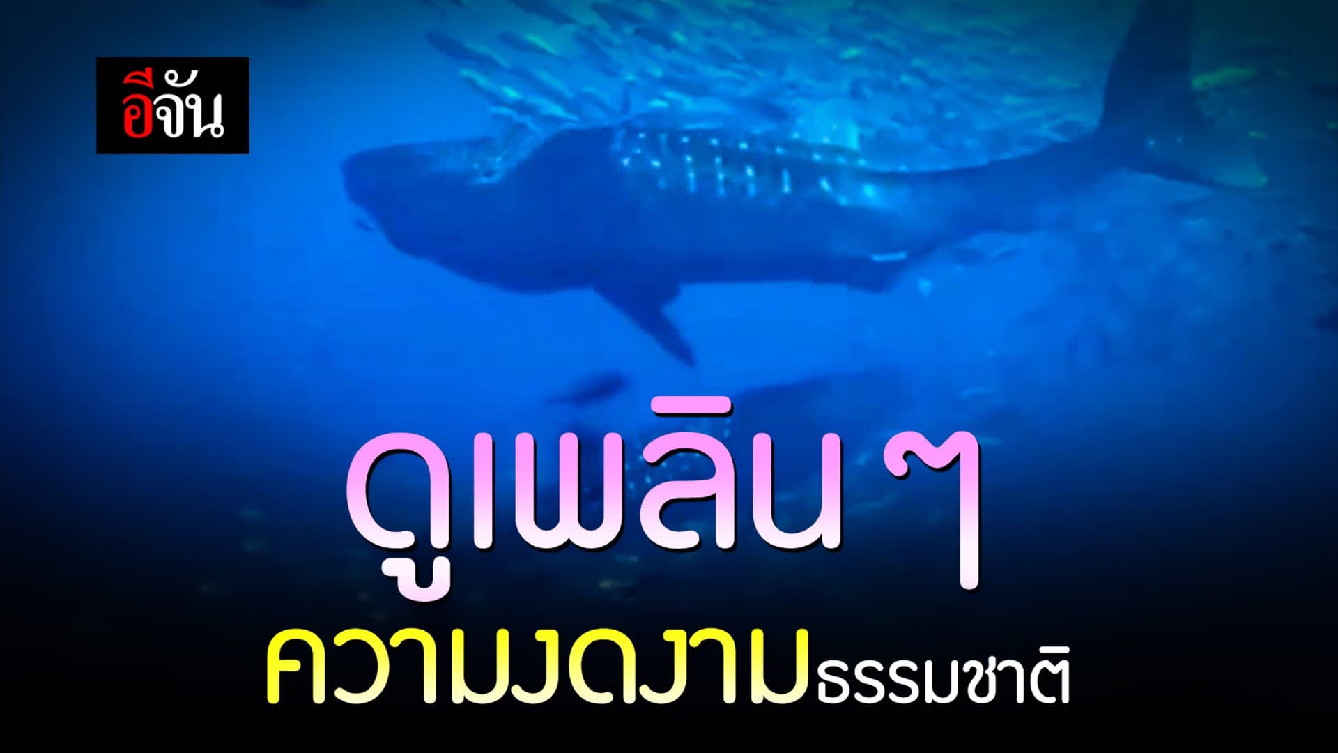 คลิป : มหัศจรรย์ธรรมชาติ ความงดงามที่ไม่ถูกปรุงแต่ง