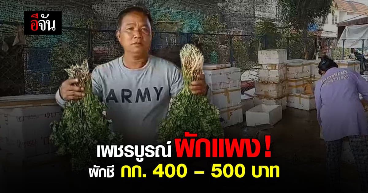 แพงไม่ไหว! เพชรบูรณ์ราคาผักพุ่งสูง แพงกว่าอาหารทะเล