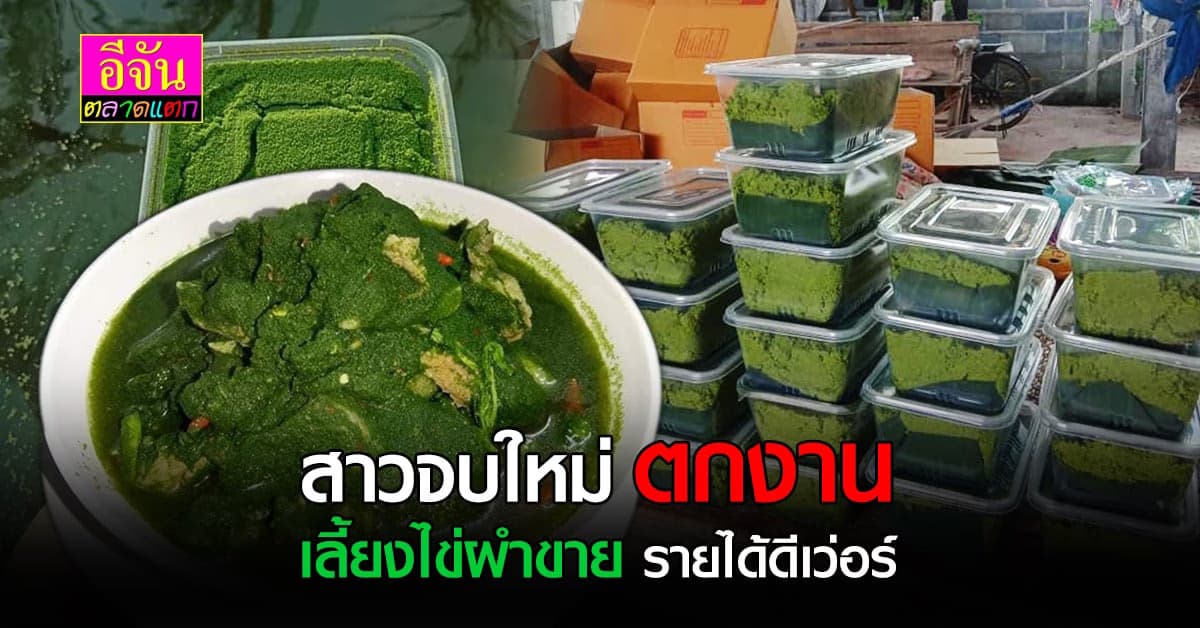 สาวจบ ปวส. ผันตัวมาเป็นแม่ค้าไข่ผำ ช่วงวิกฤตหางาน