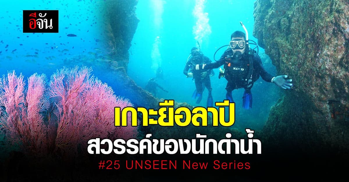 เกาะยือลาปี สวรรค์ของนักดำน้ำ #25 UNSEEN New Series