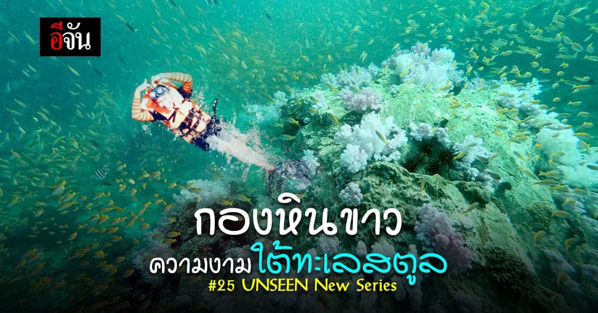 ความงามใต้ทะเลสตูล กองหินขาว อุทยานแห่งชาติหมู่เกาะเภตรา UNSEEN จ.สตูล
