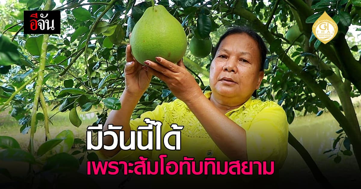 ส้มโอทับทิมสยาม ผลไม้เปลี่ยนชีวิต ชาวลุ่มน้ำปากพนัง