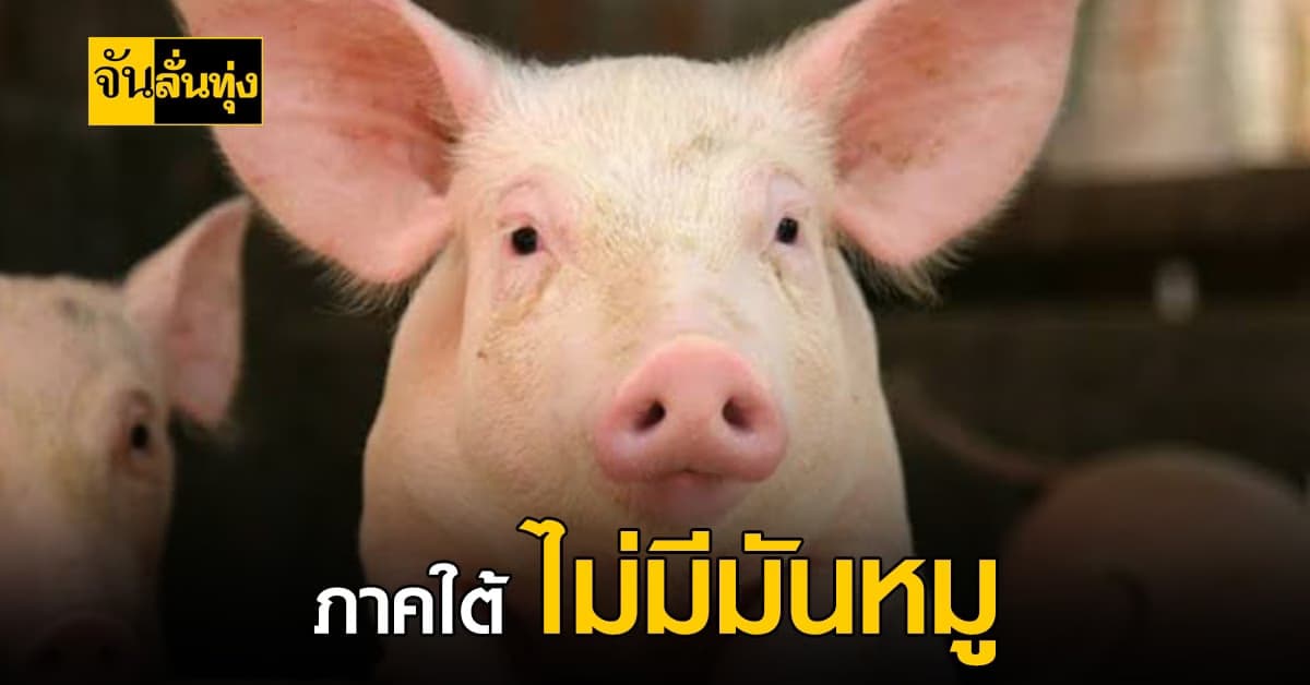 ไม่ใช่เพราะไม่กินหมู แล้วทำไมภาคใต้ ไม่มีมันหมูกันนะ