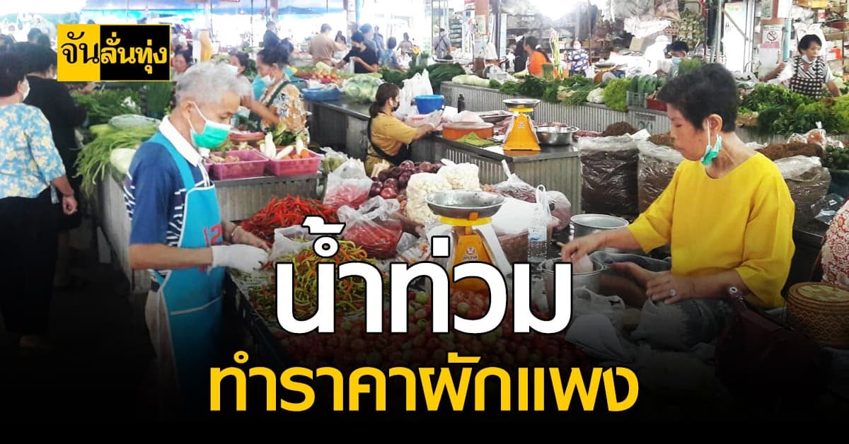 ราคาผักยังพุ่ง เพราะสถานการณ์น้ำท่วมที่ผ่านมา ทำ ราคาผักแพง ขึ้น