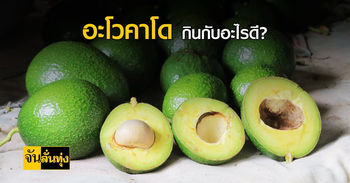 อะโวคาโดในตู้เย็น ทำอะไรได้บ้างนะ นอกจากทานเปล่าๆ
