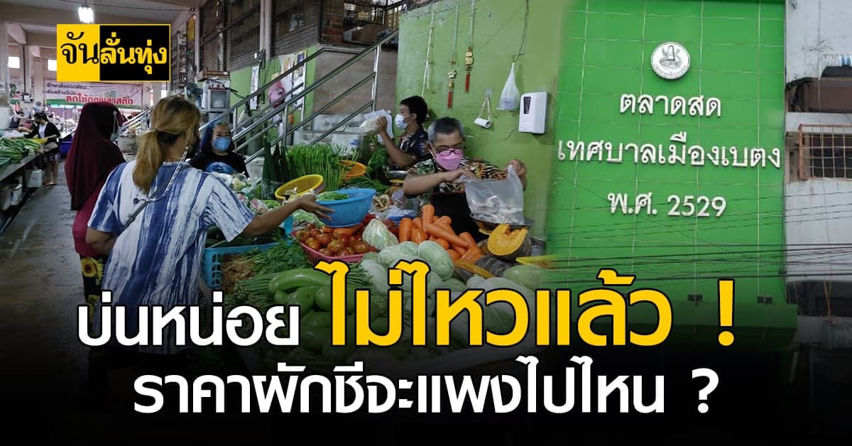 พ่อค้าแม่ขาย ชาวเบตงโอด ราคาผักชี ขึ้นฉ่าย สูงถึง กิโลละ 400 บาท !