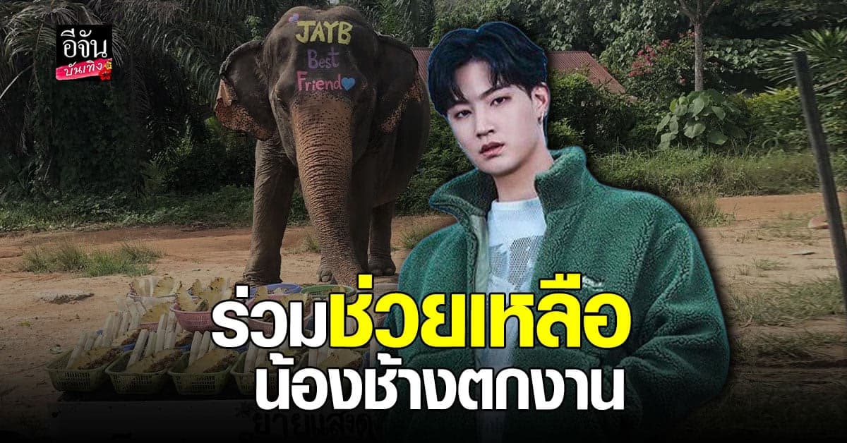 แฟนคลับ เจย์บี GOT7 ร่วมแบ่งปันน้ำใจ ช่วยเหลือช้างตกงาน