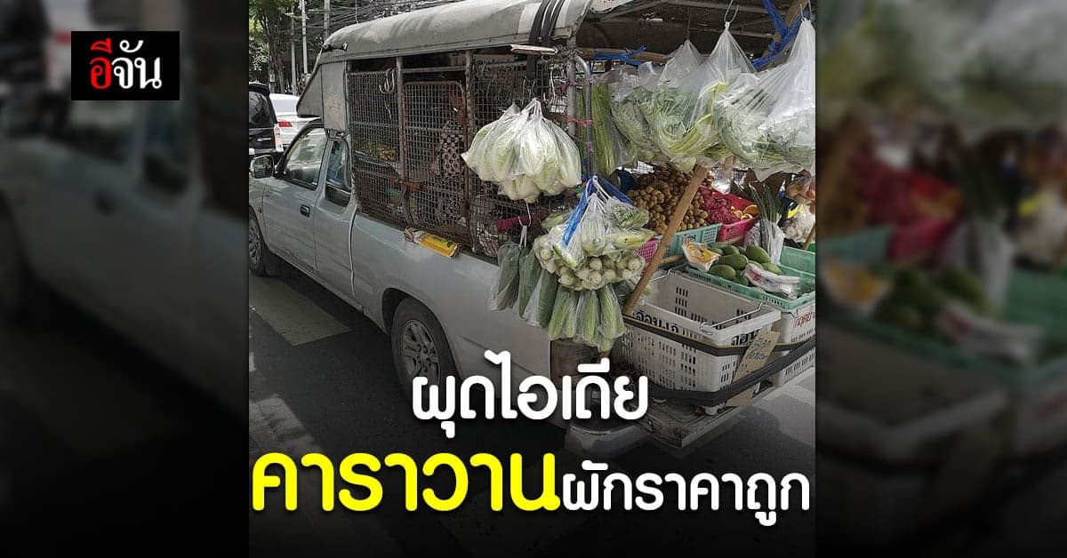 กระทรวงพาณิชย์ ผุดไอเดีย คาราวานผักราคาถูก รับปัญหา ราคา ผักแพง