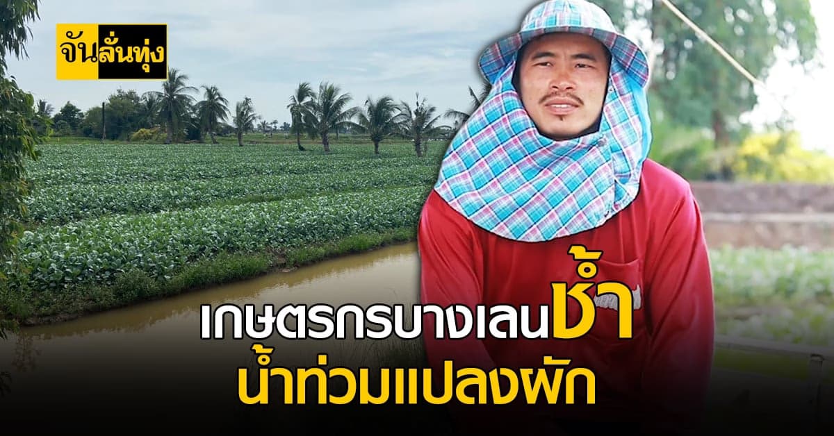 น้ำมาเร็วมันเอาไม่ทัน! เกษตรกรบางเลนช้ำ น้ำท่วมแปลงผักกว่า 1เดือน