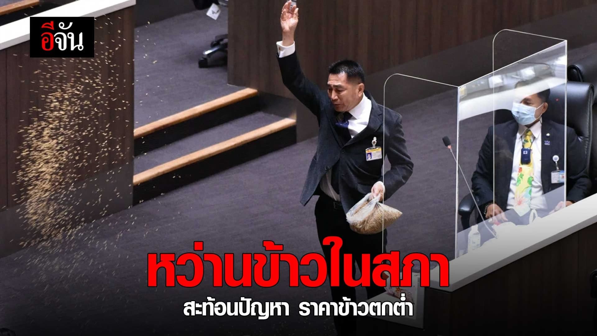 คลิป : หว่านข้าวในสภา สะท้อนปัญหา ราคาข้าวตกต่ำ