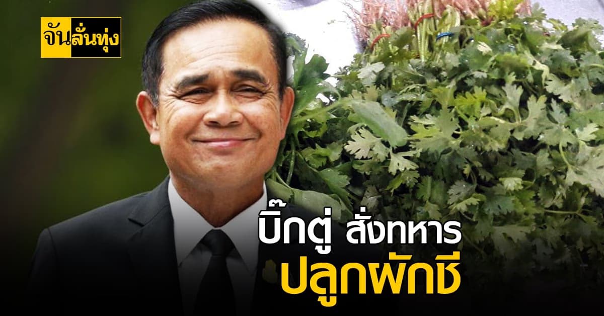 ไอเดียใหม่! นายก สั่ง ใช้พื้นที่ค่ายทหาร ปลูกผักชี