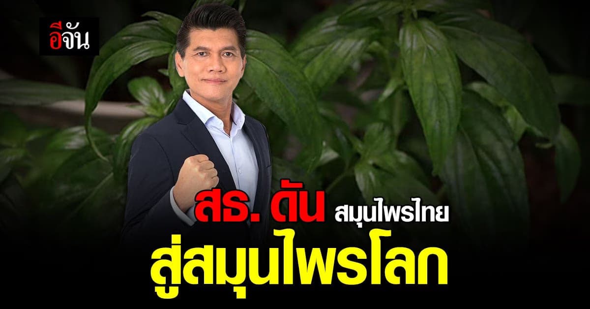 สมุนไพรไทย สู่ สมุนไพรโลก สธ. ตั้งเป้า ปี 65 สร้างมูลค่า 7.8 หมื่นล้าน