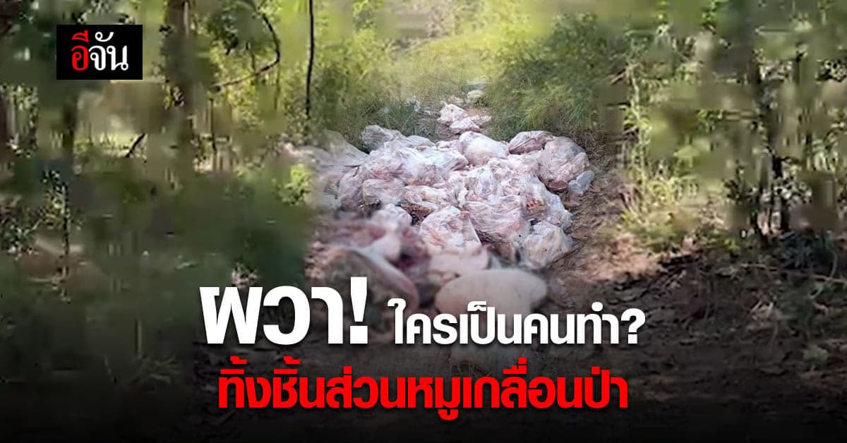 ชาวบ้านผวา พบชิ้นส่วนหมูทิ้งเกลื่อนป่า ส่งกลิ่นเหม็น หวั่นโรคตามมา