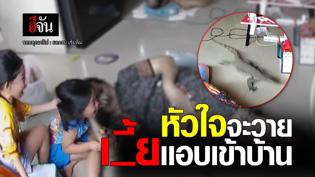 คลิป : หัวใจจะวาย ตัวเงินตัวทอง แอบเข้าบ้าน