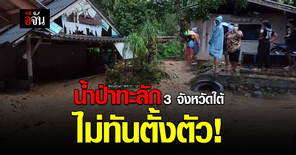ปภ. รายงาน ฝนตกหนัก น้ำป่าทะลัก 3 จังหวัดใต้ น้ำท่วมฉับพลัน
