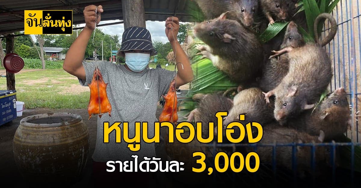 ไอเดียใหม่! หนูนาอบโอ่ง ทำรายได้วันละ 3,000 บาท