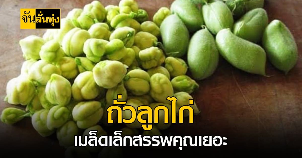 ช่วยล้างสารพิษ? ถั่วลูกไก่ เมล็ดเล็กสรรพคุณยิ่งใหญ่