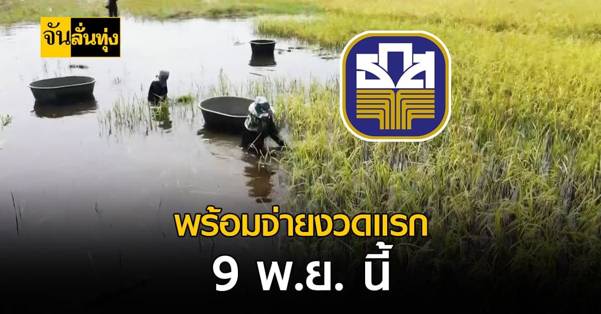 เกษตรกรรอเลย ! ธ.ก.ส. พร้อมโอน เงินประกันรายได้ งวดแรก 9 พ.ย. 64 นี้