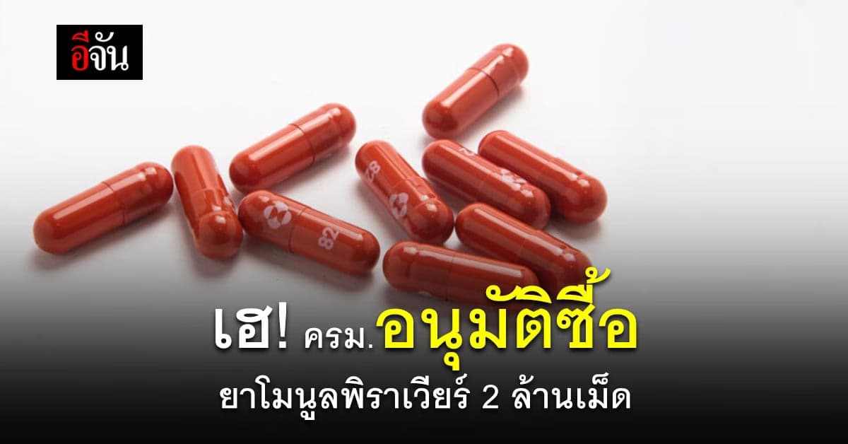 “อนุทิน” เผย ครม. อนุมัติ ซื้อ ยาโมนูลพิราเวียร์ 2 ล้านเม็ด