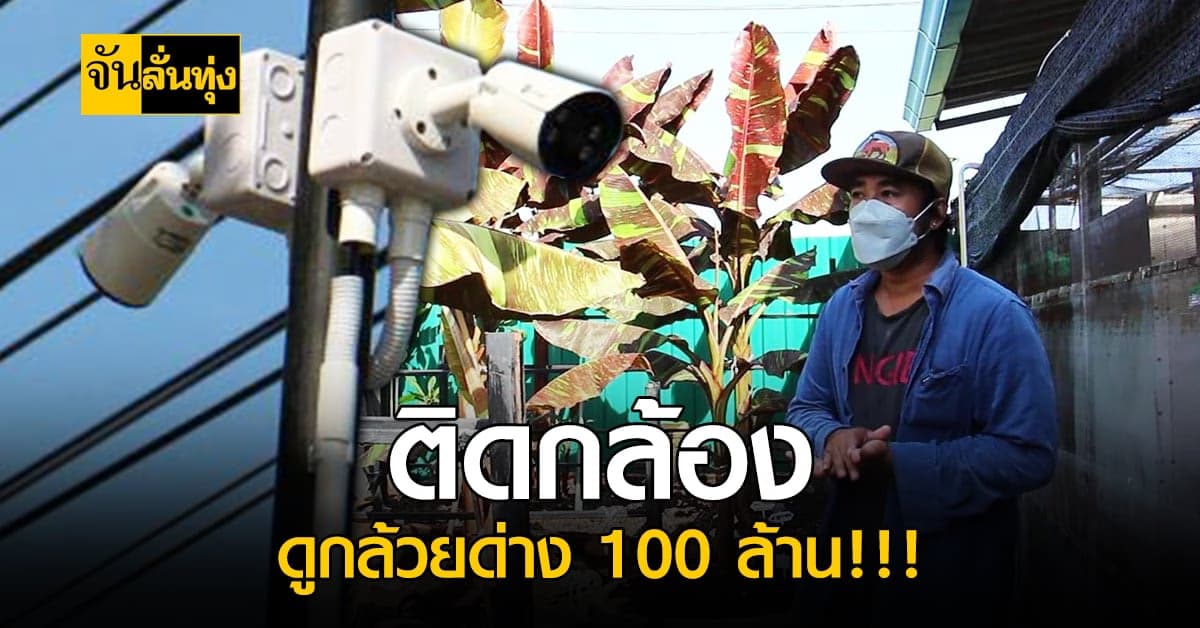 ติดกล้องวงจรปิด 48 ตัว ส่อง ดงกล้วยด่างแดงอินโด มูลค่า 100 ล้าน !