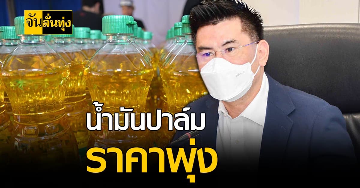 พุ่งขึ้นต่อเนื่อง! ราคาน้ำมันปาล์มสูง เพราะผลผลิตปาล์มลดลง