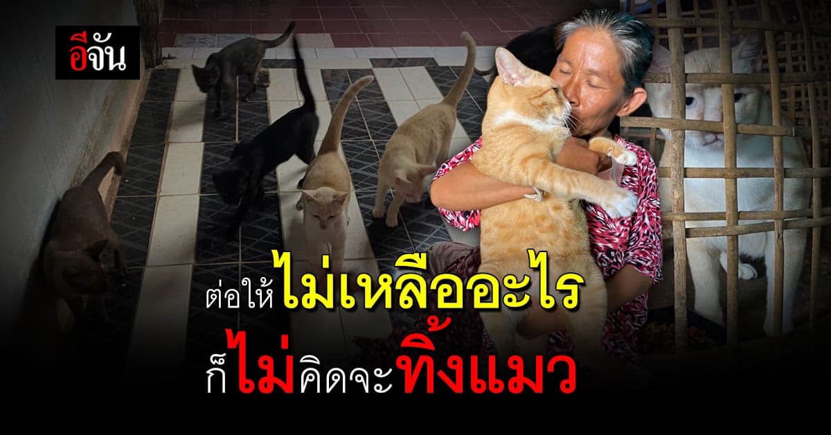 แมว 63 ชีวิต ไม่คิดทอดทิ้ง เเม้ตัวเองไม่เหลืออะไร