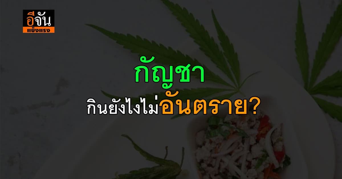 กัญชา ใช่ว่าอยากกินก็หยิบกินได้กินมากอันตรายแล้วกินยังไงถึงจะได้คุณค่า