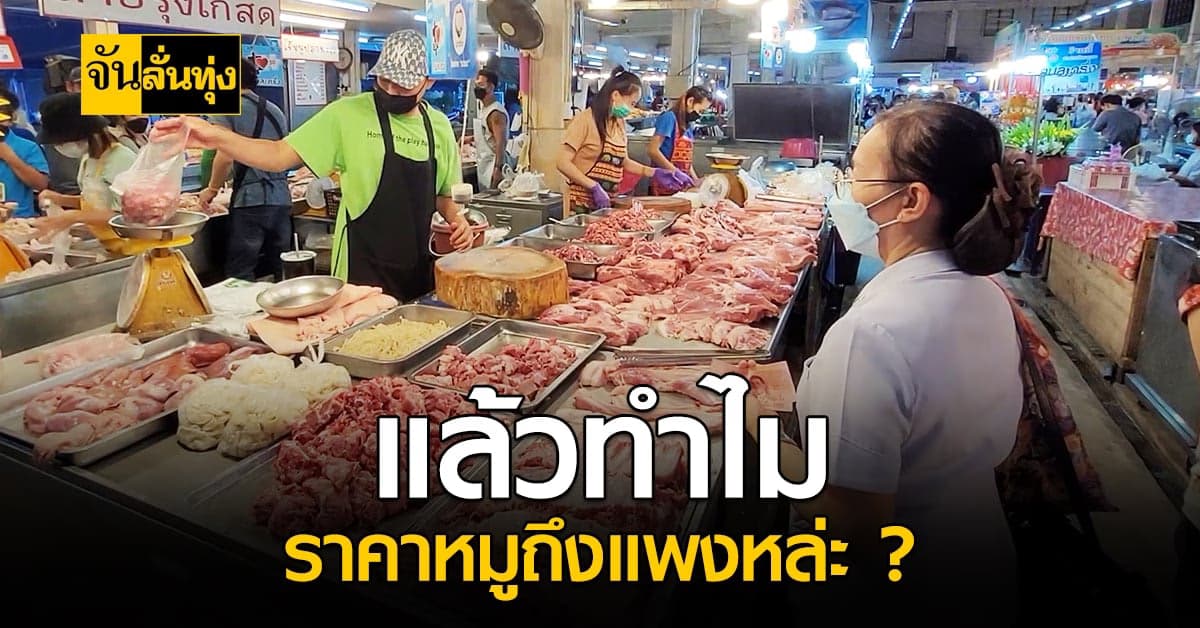 ไขปริศนา ทำไมราคาหมูถึงแพงขนาดนี้?
