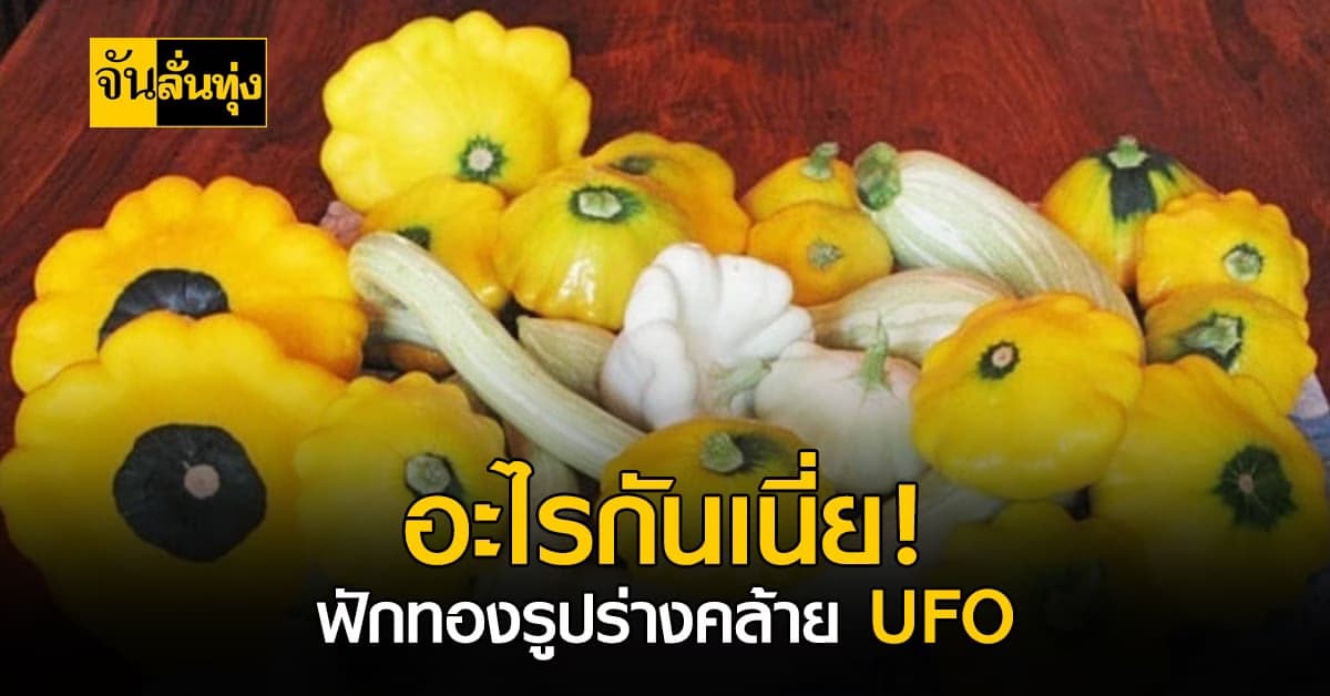 ผักรูปทรง UFO! อะไรกันเนี่ย ฟักทองนำเข้า รูปร่างคล้าย UFO