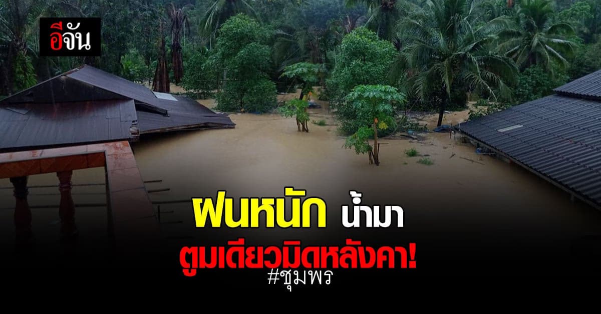 ชุมพรโดนซัด! ฝนตกหนักสะสม อ.สวี น้ำท่วมสูงจนมิดหลังคา