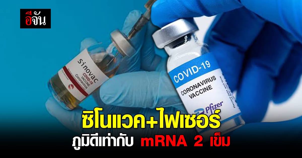 หมอยง เผยผลวิจัย ฉีดซิโนแวค ตามด้วย ไฟเซอร์ ภูมิดีเท่ากับ mRNA 2 เข็ม