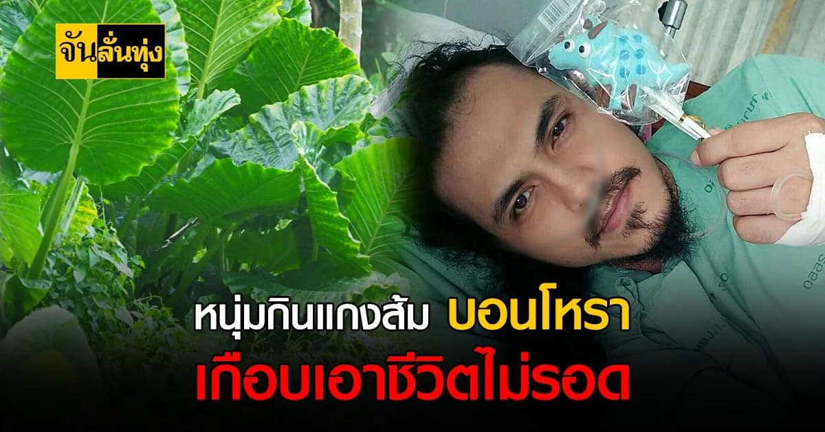 เตือนภัย! หนุ่มอยากกินแกงส้ม ออดิบ แต่ได้พิษจาก บอนโหรา แทน