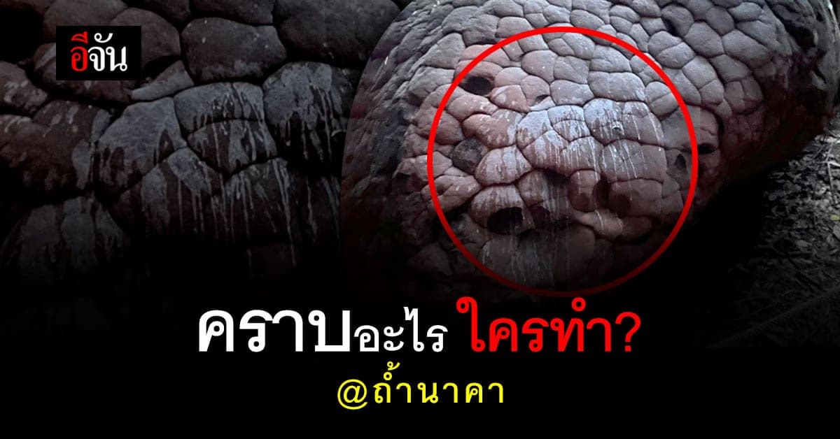 อย่าหาทำ! มือบอน สาดน้ำสีขาวใส่หิน ถ้ำนาคา