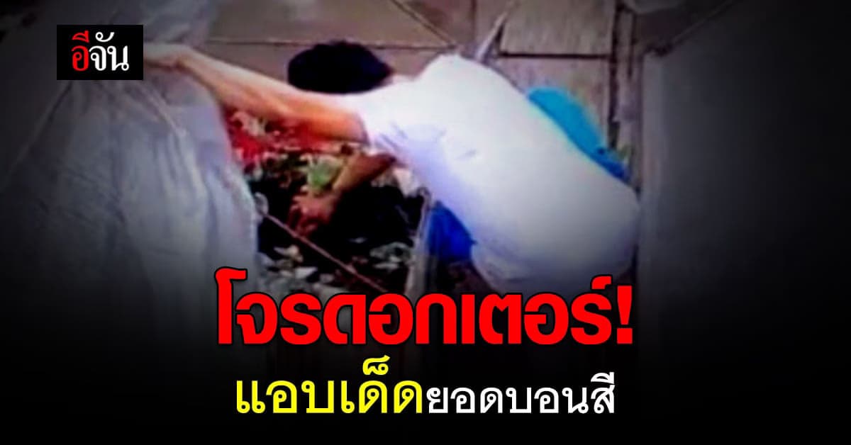 คาหนังคาเขา! โจรดอกเตอร์ ขโมยเด็ดยอดบอนสีจากสวน