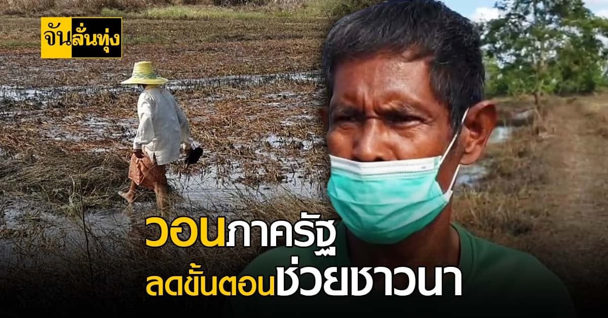 ชาวนา สุดลำบาก วอนรัฐลดหย่อนขั้นตอน การขอรับเงินเยียวยา