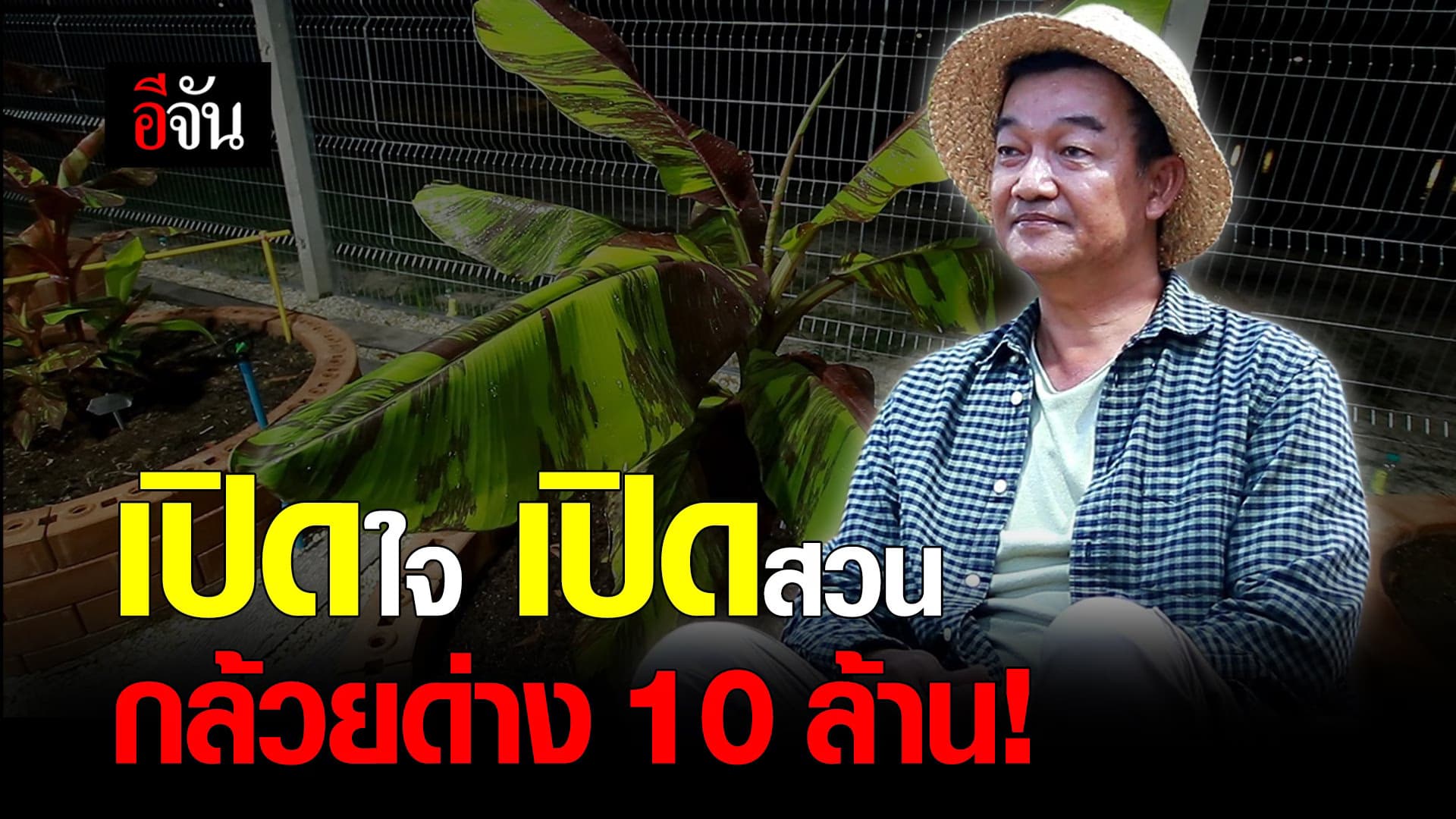 คลิป : เปิดใจ เปิดสวน กล้วยด่าง 10 ล้าน!