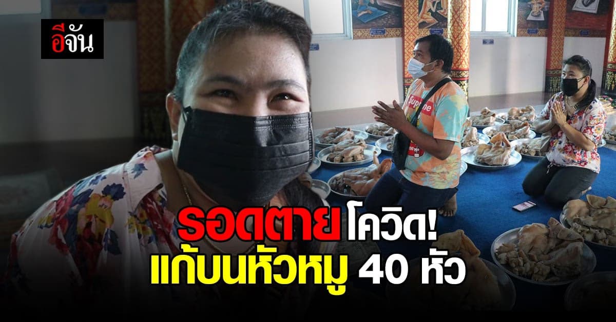 สาวรอดตายจากโควิดโคม่า แก้บนหลวงพ่อใหญ่ หัวหมู 40 หัว!