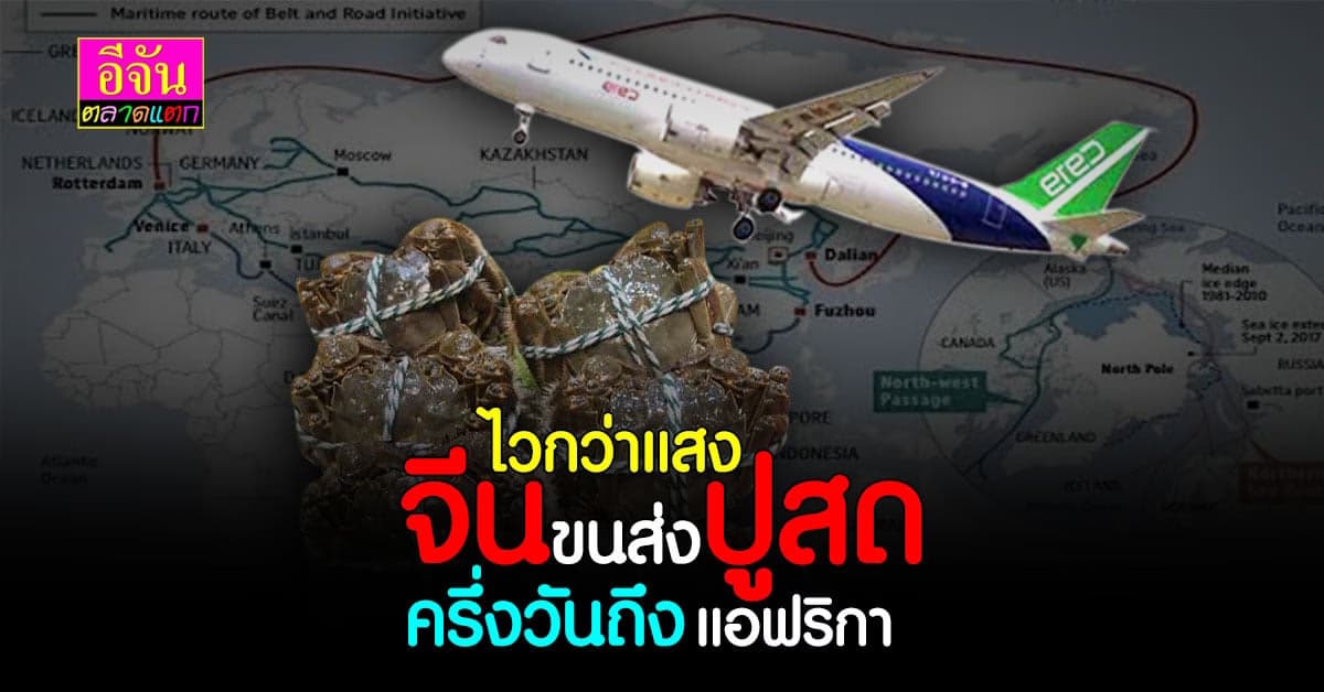 จีนส่งปูขน 400 กก. ขึ้นเครื่องบินลัดฟ้าสู่แอฟริกา ส่งเช้าเที่ยงถึง