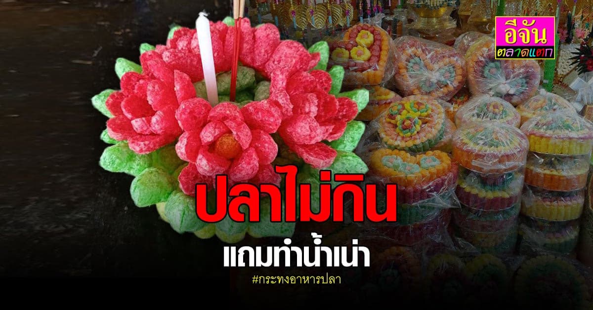 ลอยกระทง อย่าทิ้งทุกข์ให้แม่น้ำ กระทงอาหารปลา ปลาไม่กิน แถมทำน้ำเน่า