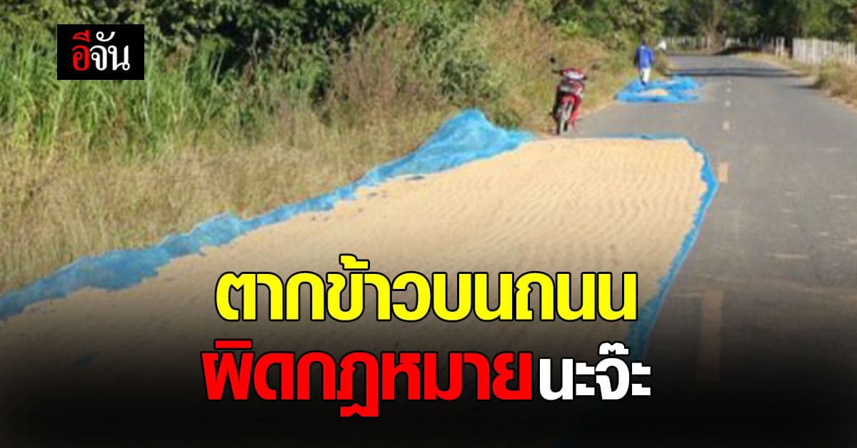 เปิด บทลงโทษ ตากข้าว บน ถนนหลวง มีความผิด หลายกระทง