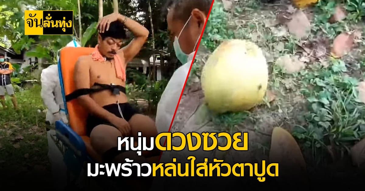 หนุ่มสตูล ล้มทั้งยืน หลังถูกมะพร้าวหนักเกือบ 2 กิโล พลัดตกใส่หัว !