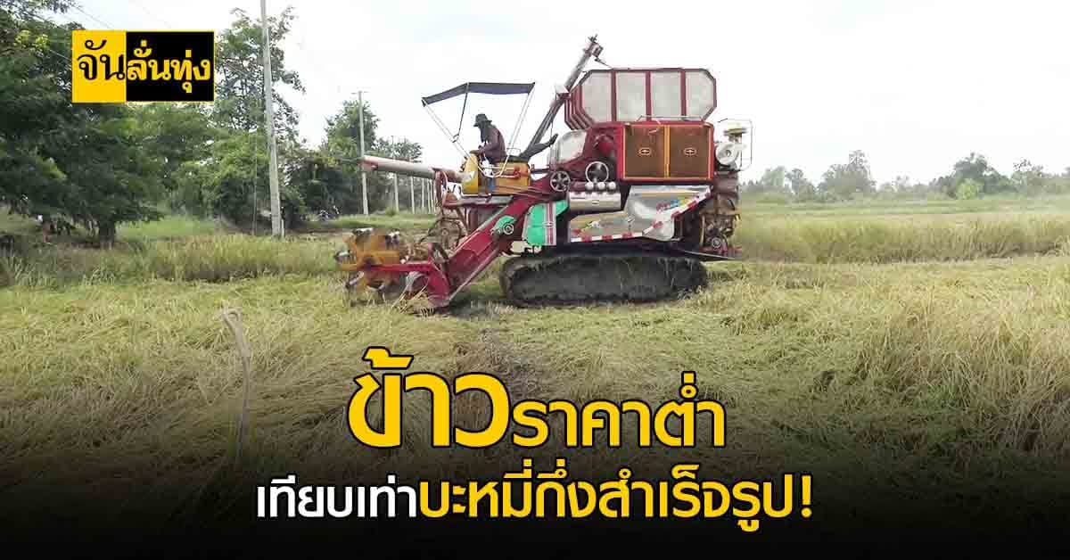 ชาวนาอุทัยฯ สุดทน! ขายข้าวได้ราคาต่ำ เทียบเท่าบะหมี่กึ่งสำเร็จรูป